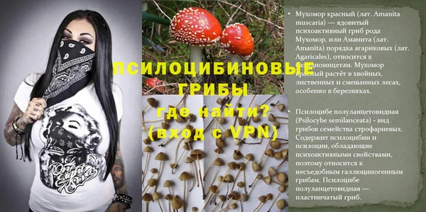 стафф Абинск