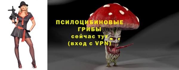 стафф Абинск