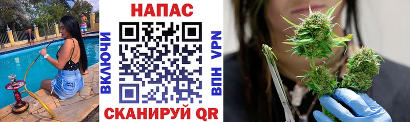 Канабис план  блэк спрут ссылки  Сурск 